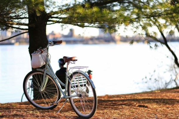 Bicycle Wheel Circle Radius NYT