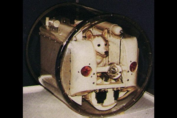 Laika - first dog to go to space