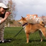 Canine Handler NYT Crossword