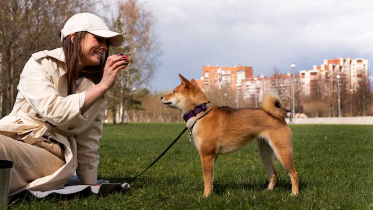 Canine Handler NYT Crossword