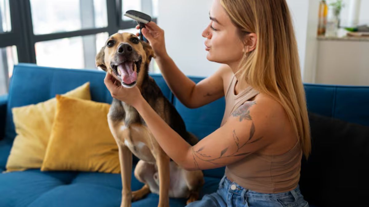 Applied Revolution to Dog and He Shook His Hair