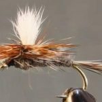 Parachute Adams Fly Is a Must-Have for Your Tackle Box