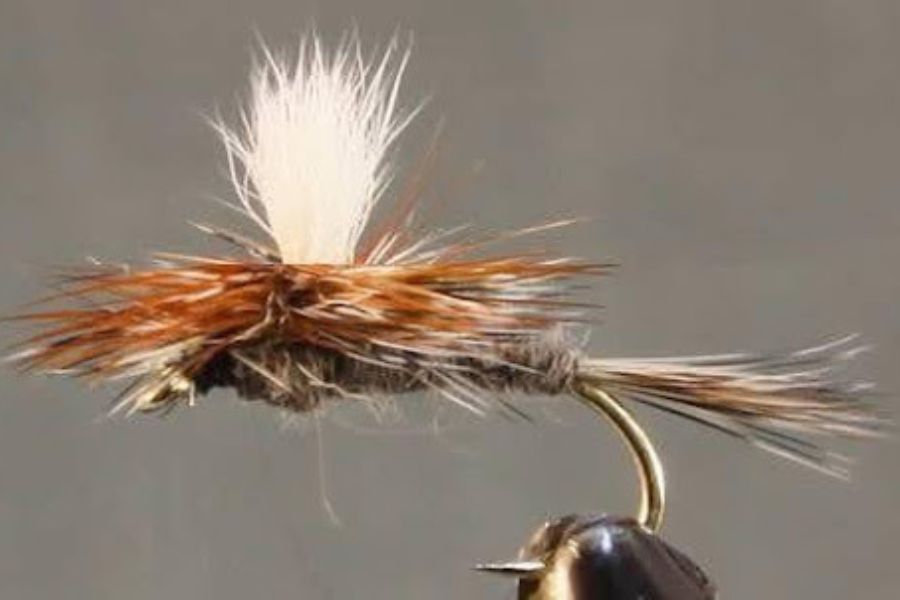 Parachute Adams Fly Is a Must-Have for Your Tackle Box